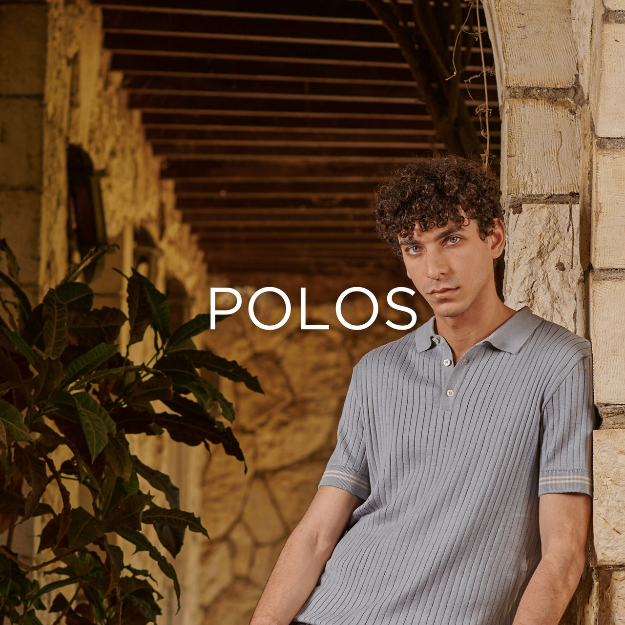 Men's Polo Shirts in Egypt