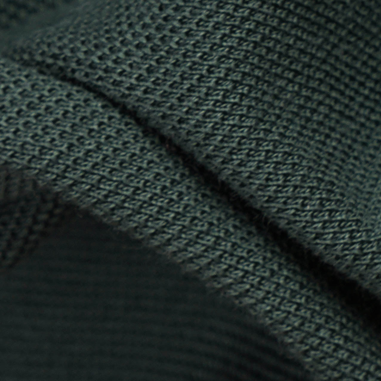 Contrast Collar Cotton Polo Shirt - Dockland
